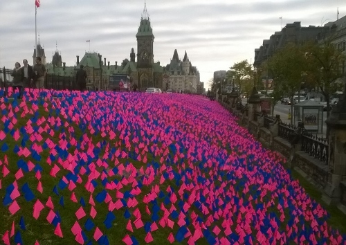 Some of the 100, 000 flags, representing 100,000 babies.