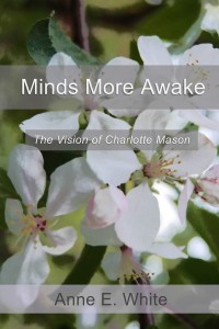 Minds More Awake