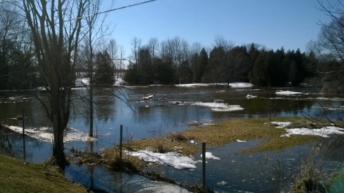 Spring Flood