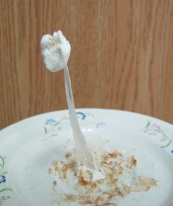 This is what happens when you heat a marshmallow in the microwave and stretch it when it's still hot.