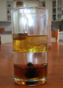 Studying Density with Apologia's General Science:  oil, water, syrup with cork, ice, a wild grape, and a rock.