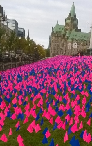 Flags representing Canadian babies aborted each year