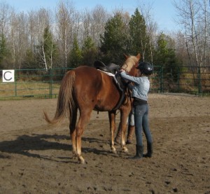 Miss 12 enjoying the gift of a horseback riding lesson.