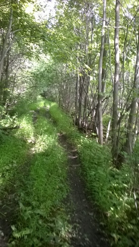 Rideau Trail